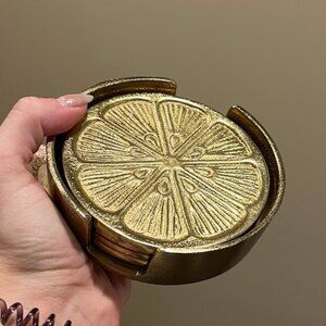 citrus coasters set of 4